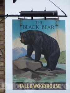 Picture of The Black Bear
