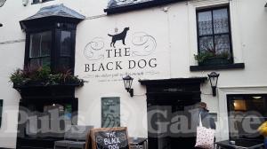 Picture of The Black Dog