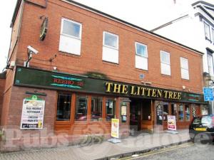 Picture of The Litten Tree