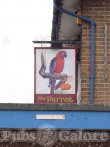 Picture of The Parrot
