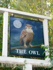 Picture of The Owl