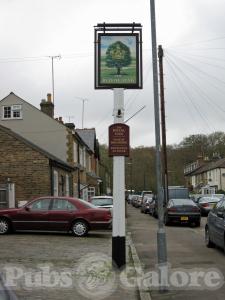Picture of Royal Oak