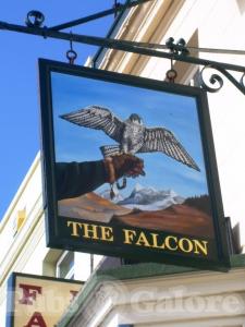 Picture of The Falcon