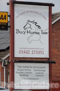 Bay Horse