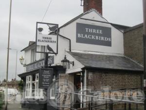 Picture of Three Blackbirds