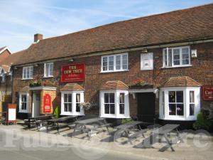 Picture of The Yew Tree