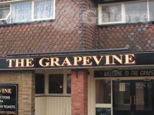 Picture of The Grapevine