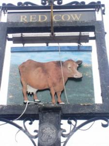 Picture of Red Cow