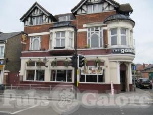 Picture of Golden Lion