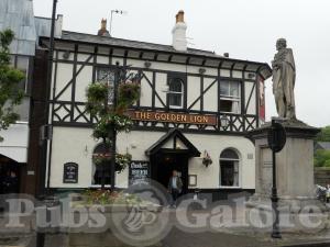 Picture of Golden Lion