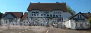 Picture of Ego at The Pomeroy
