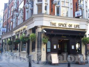 Picture of The Spice Of Life