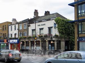 Picture of The Hare