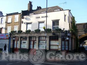 Picture of The Hare