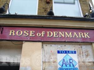 Picture of The Rose Of Denmark