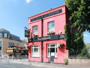 Picture of The Roebuck