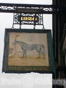 Picture of Black Horse