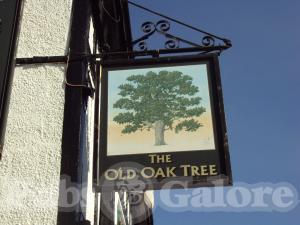 Picture of The Old Oak Tree