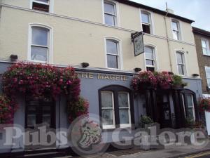 Picture of The Magpie