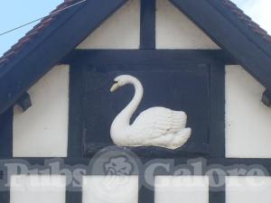 Picture of The Swan