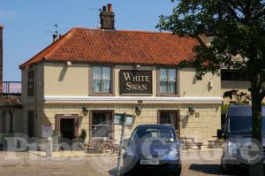 Picture of White Swan
