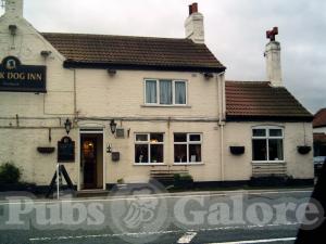 Picture of Black Dog Inn