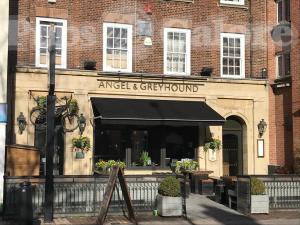 Angel & Greyhound