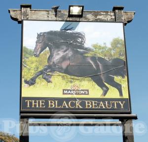 Picture of The Black Beauty