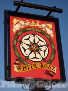 Picture of The White Rose