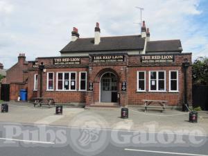 Red Lion