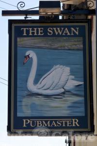 Picture of The Swan