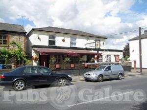 Picture of The Bay Horse