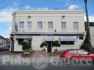 Picture of Golden Lion