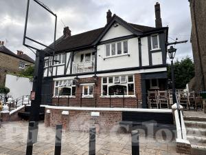 Picture of The Cricketers