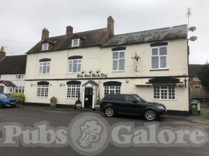 Picture of The Oak & Black Dog