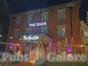 Picture of Beefeater The Duck