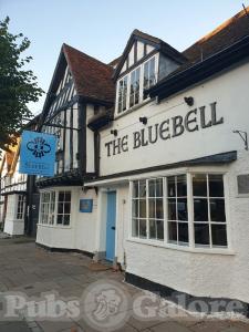 Picture of The Bluebell