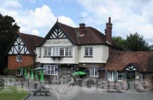 Picture of The Green Man