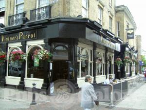 Picture of The Vintners Parrot
