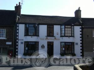 Picture of The White Swan