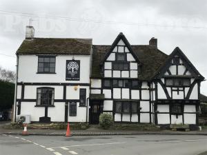 Picture of The Old Chestnut Tree Inn