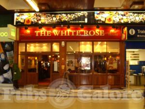Picture of The White Rose