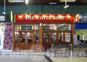 Picture of The White Rose