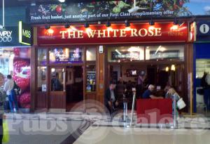 Picture of The White Rose