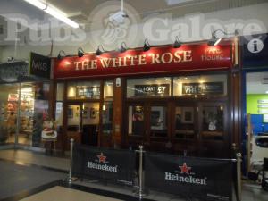 Picture of The White Rose
