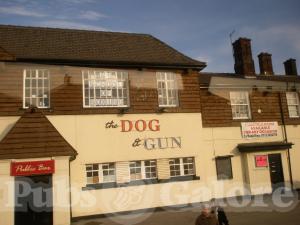 Picture of Dog & Gun Inn