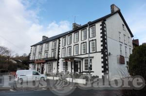 Picture of Neuadd Arms Hotel