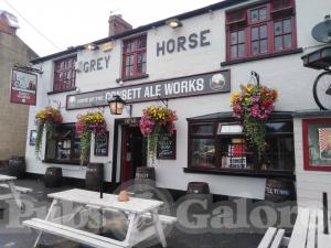 Picture of Grey Horse