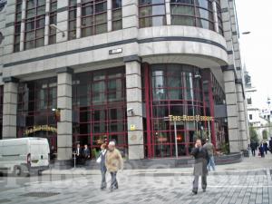 Picture of The Red Herring