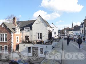 Swan & Three Cygnets